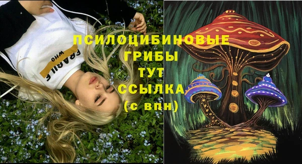 гидропоника Верхний Тагил