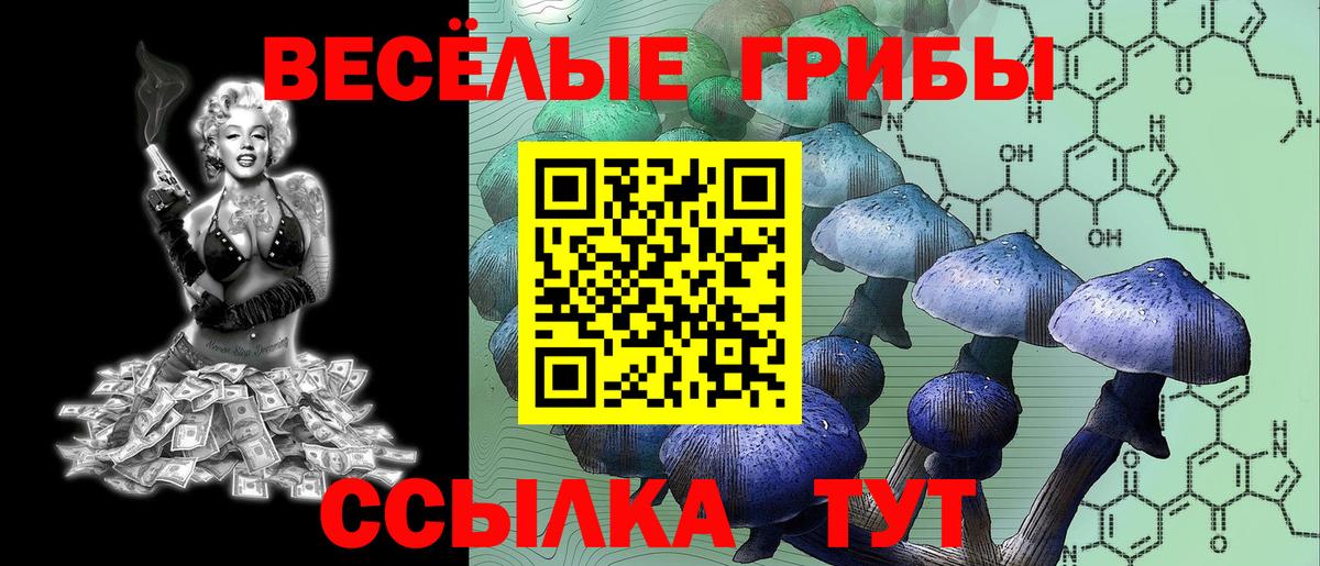 Галлюциногенные грибы ЛСД Альметьевск