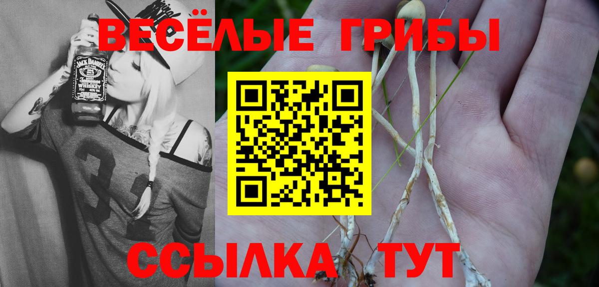 Псилоцибиновые грибы Magic Shrooms  Альметьевск 