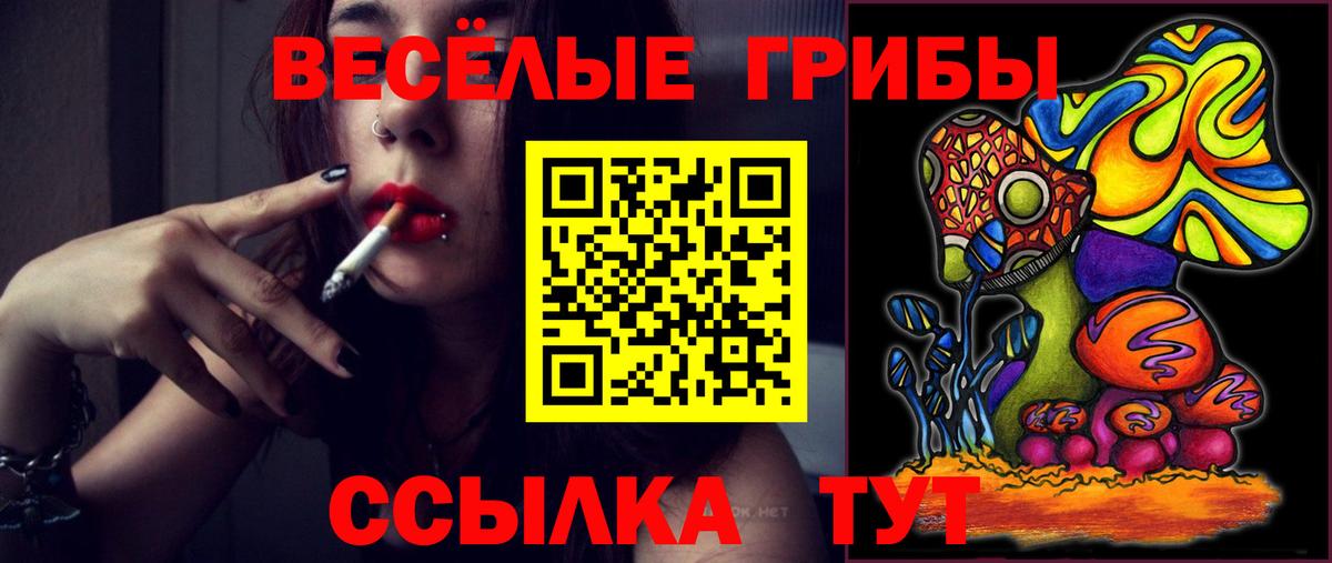 Галлюциногенные грибы мицелий  Галлюциногенные грибы Cubensis  сколько стоит  Альметьевск  Вход с VPN 